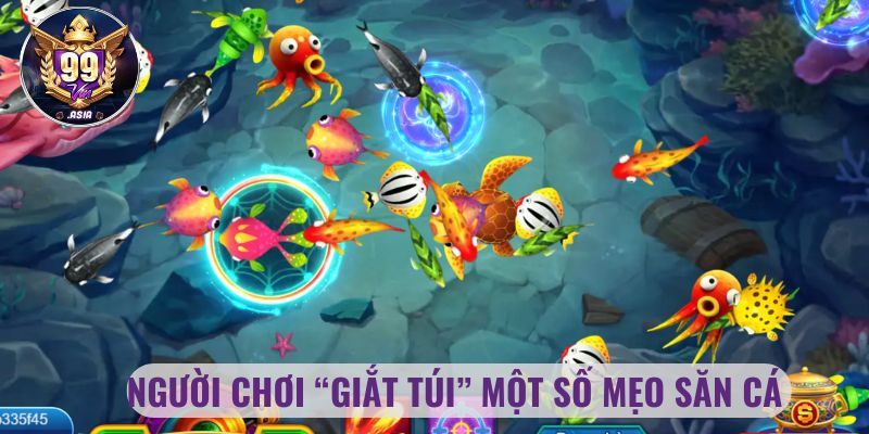 Người chơi “giắt túi” một số mẹo săn cá