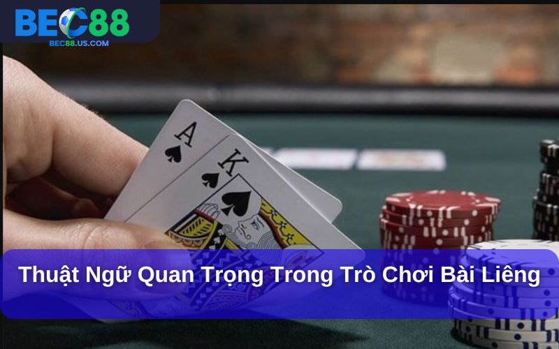 Số lượng người chơi và quy trình chơi