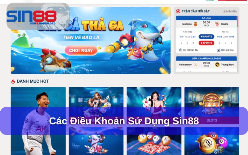 Các điều khoản sử dụng tại Sin88